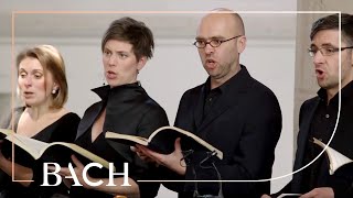 Bach - Sind Blitze, Sind Donner From St Matthew Pion Bwv 244 Netherlands Bach Society
