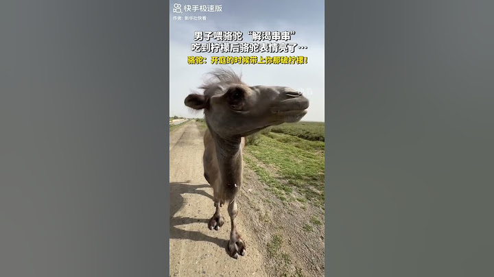 骆驼吃柠檬被酸出表情包