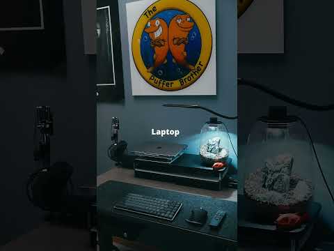 Prime Ryzer Setup Review by The Puffer Brother | Progressive Desk