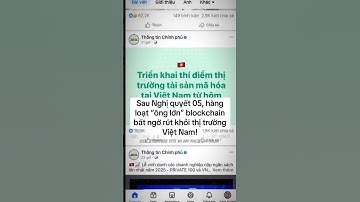 Sau nghị quyết 05 hàng loạt ông lớn blockchain rút khỏi Việt Nam #chungkhoan #taichinh #crypto