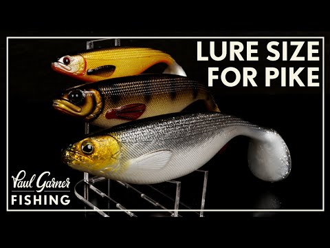 What Lure Size? : Lure Choice for Pike Fishing. 