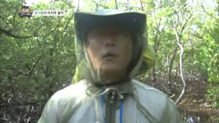 정글의법칙 130802 #32(11)
