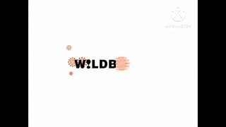 Wildbrain Entertainment 2007-2012 Extended Version Logo Remake