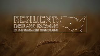 Resilient Dryland Farming In The Semi-Arid High Plains