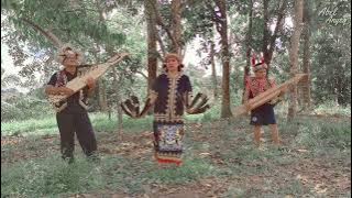 Download lagu lagu Dayak pedalaman.Sape Tiling Apo Geliling By Abel Anyeq
