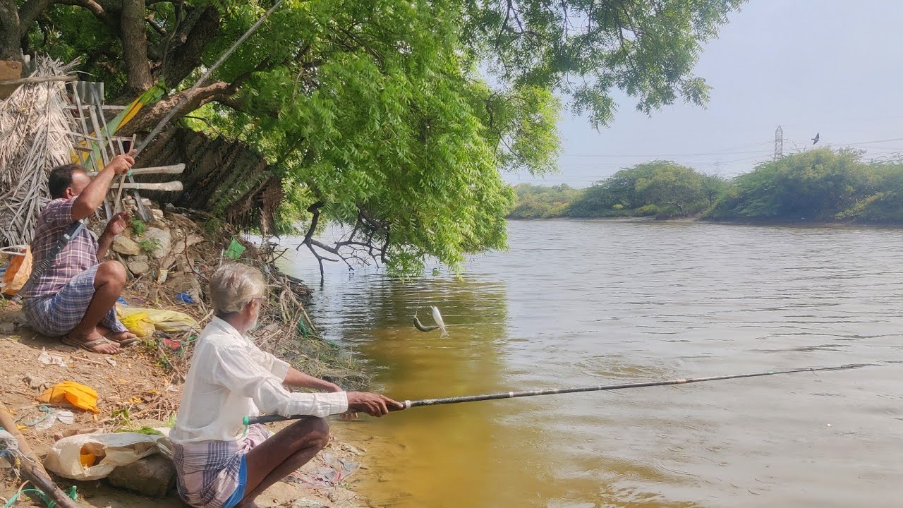 ஒரு சாக்கு மூட்டை நிறைய அவுலி மீன்கள் 😱😱😱