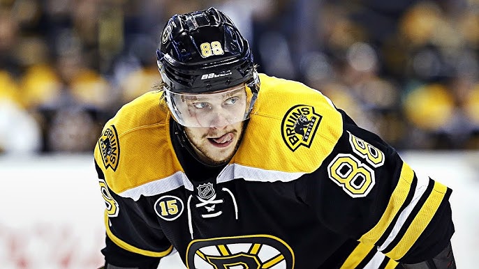 What gear does David Pastrnak use? 