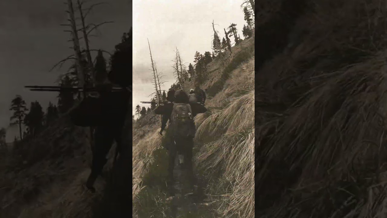 Winter Morning (Зимнее Утро) — Silver Resonance | Atmospheric Melodic House