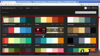 Celebrity Web Colors Lecture 6 Profile