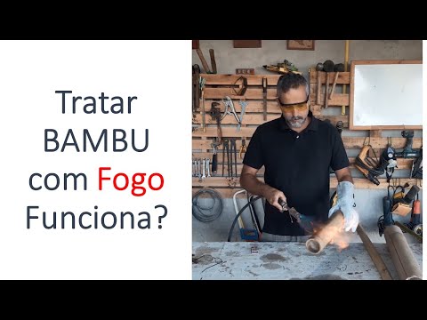 Vídeo: Bambu Comum