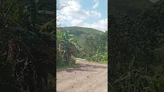 Lubak Lubak Ang kalsada shorts