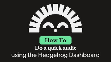 How to do a Quick Audit with our Hedgehog Dashboard