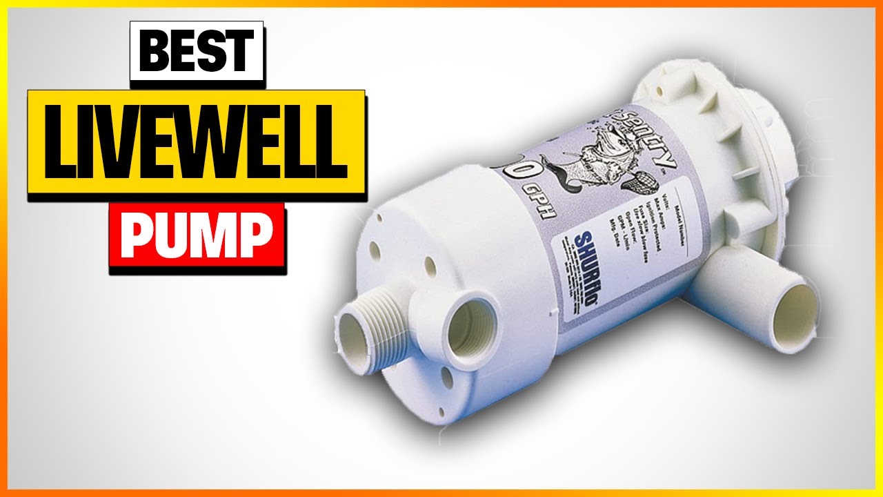 Best Livewell Pump 2024 [Top 6 Picks Reviewed] 