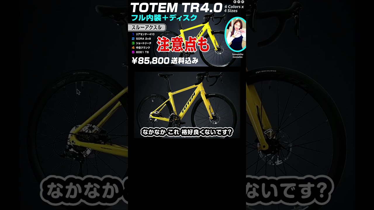 TOTEM FITNESS 前後タイヤ・チューブ新品！】アルミフレーム2×8