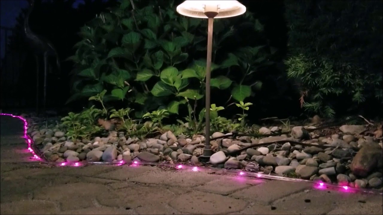 Pacific Accents 16' Battery Rope Lights  from FLIPO