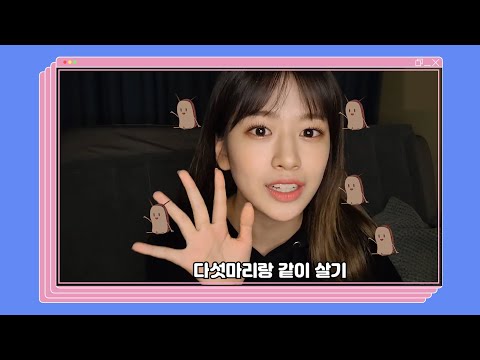 댕댕이랑 밸런스 게임 하실분?