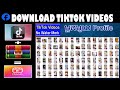 So Lädst Du Alle TikTok Videos Eines Profils Herunter 2026 1 Klick Methode