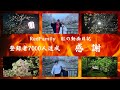 登録者7000人ありがとうございます〖RedFamily〗