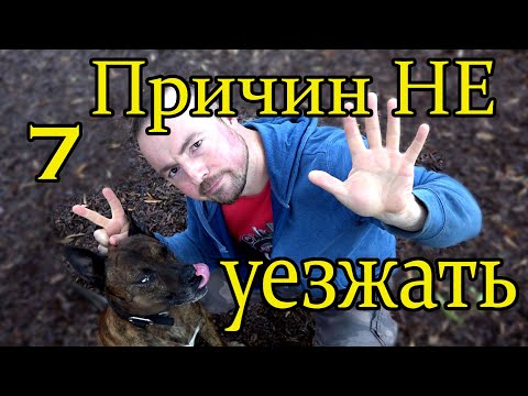 7 причин НЕ уезжать из России