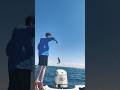 Don’t worry Be Happy #fishing #catchingfish #funny #viral #reggae #music