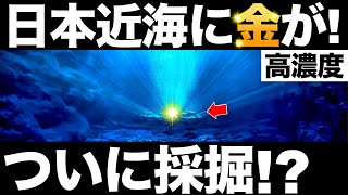 【衝撃】日本近海に眠る「金」に世界が震えた！【海底熱水鉱床】