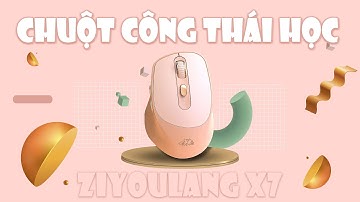 Review Chuột Không Dây Công Thái Học Ziyoulang X7 Kết Nối 2 Chế Độ Bluetooth, Wireless