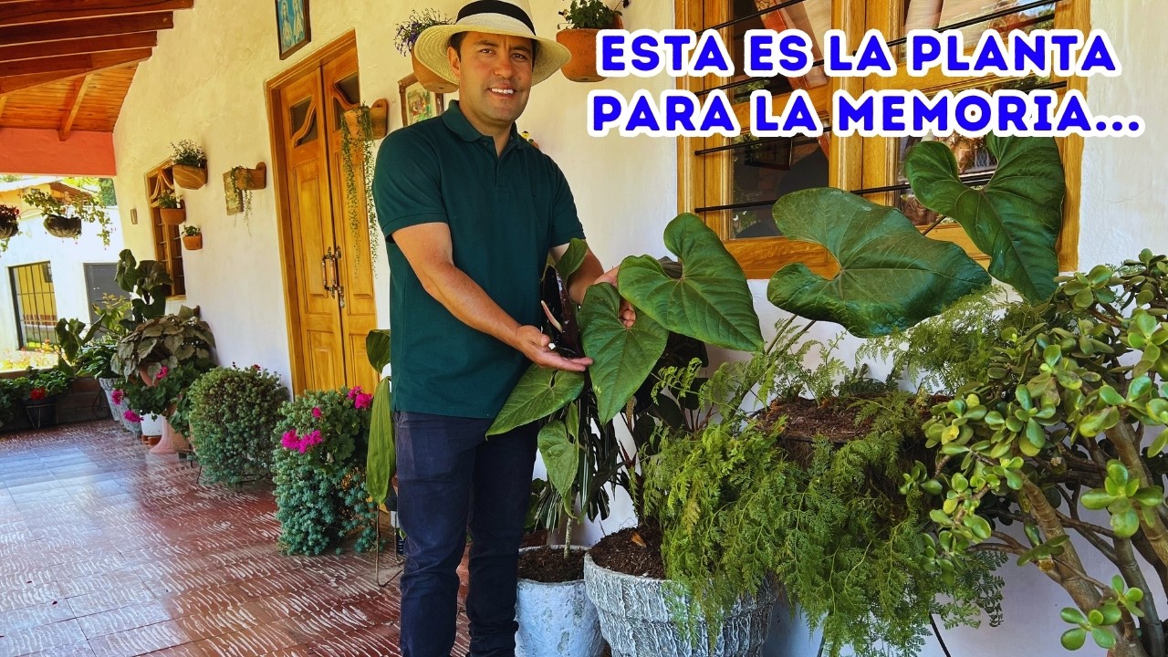 El hermoso JARDÍN de Jhon tiene la PLANTA para la MEMORIA, comimos FLORES y nos revela TODO |AP