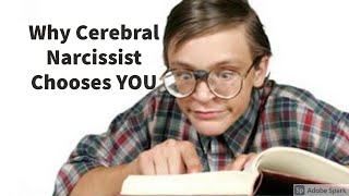 Why Cerebral Narcissist Chooses YOU
