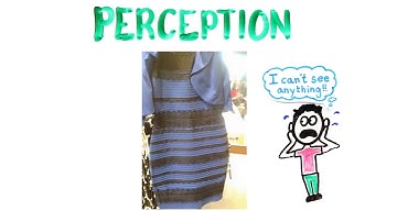 Color Constancy   Dress