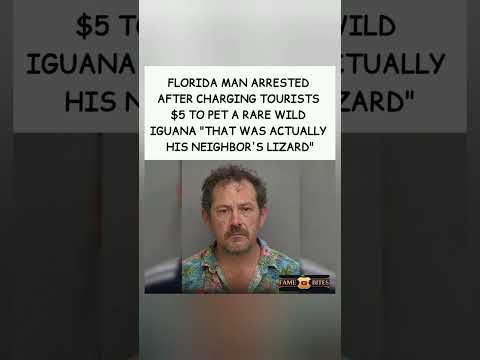 Not rare. Not wild. Just someone's pet. 😂#FloridaMan #IguanaScam #NeighborsLizard #ViralArrest