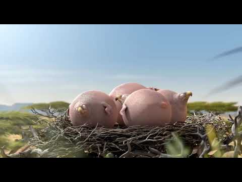 Смешные жирные животные-анимационный короткометражный мултьфильм