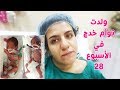 ولدت توأم خدج في الأسبوع 28 ورجعولنا البيت 👼🏻👼🏻