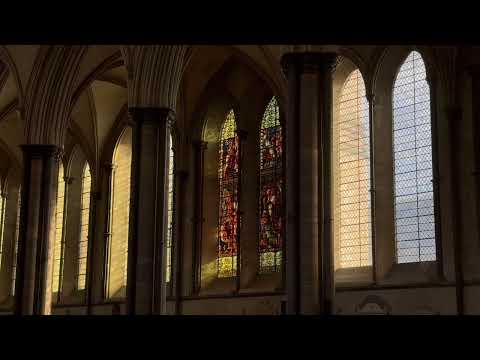 Salisbury cathedral  thumbnail