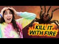 Spiders ALMOST KILLED ME! Kill it with FIRE!