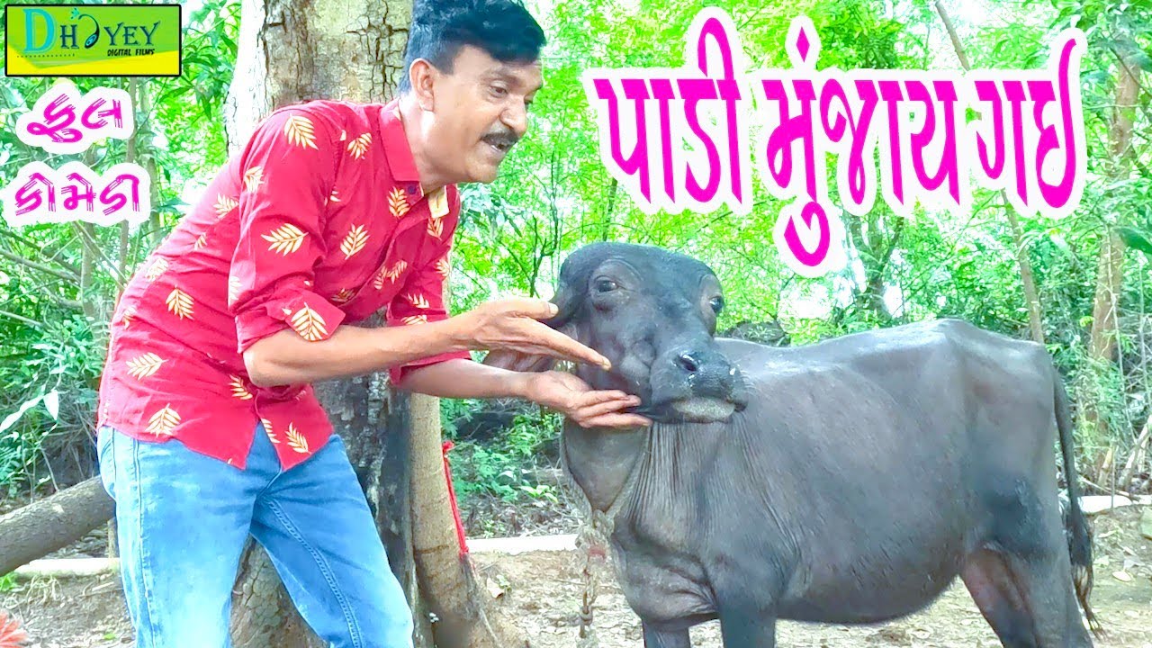 Padi Munjai Gai || પાડી મુંજાઈ ગઈ || Comedy Video || Deshi Comedy ll