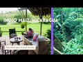 Reserva Biológica Indio Maiz, Nicaragua 🇳🇮 | Guacimo Lodge & tours.