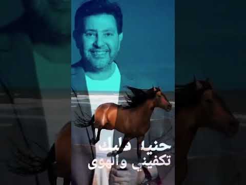 هاني شاكر حنية قلبك