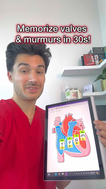 Save this trick to never forget valves & murmurs again!🫀#medschool #medstudent #cardiology #usmle