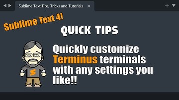 [QT23] Quickly customize your Terminus terminals with any settings you like