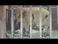 2026.04.16 17:00 ズゼ 閉園時 （※Tさん撮影）