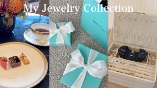 【 ジュエリー紹介 】Tiffany&coジュエリー購入品🦢💎⊹ ࣪ ˖⟡一生モノジュエリーとお気に入りプチプラアクセサリー紹介🩵✨
