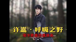 許嵩《呼吸之野》專輯歌曲熱度排名,你覺得這張專輯有被低估嗎?