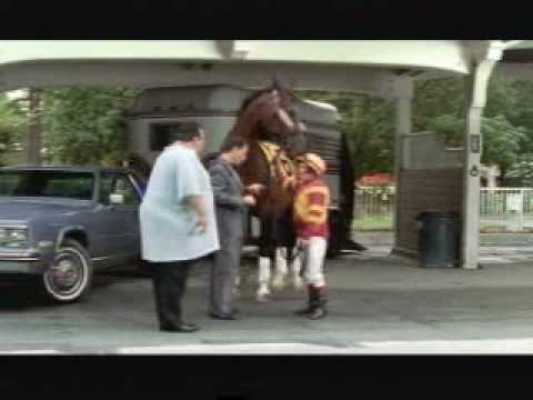 we-bought-the-wrong-horse!-hilarious-insurance-commercial...