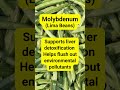 Molybdenum (Lima Beans) #liverdetoxification #burnfatfast #liversupport #molybdenum