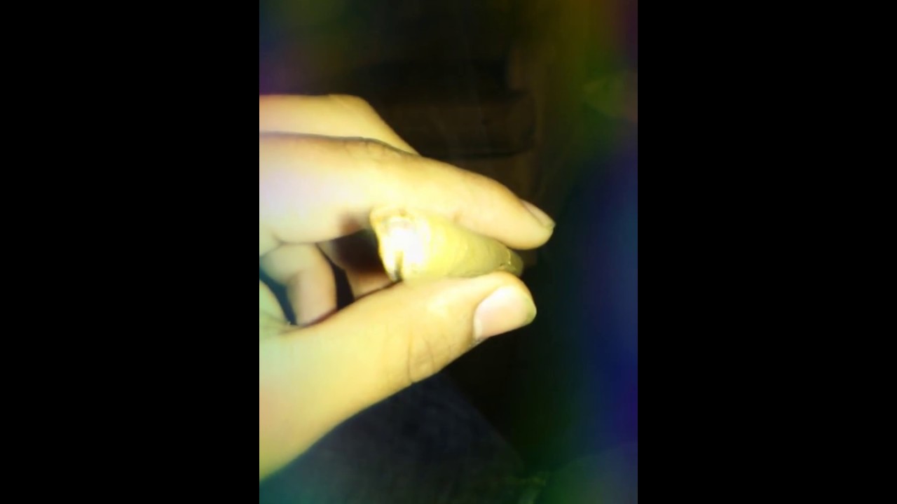 Extendo blunts rolled perfect