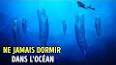 Les mystères fascinants du monde sous-marin ile ilgili video