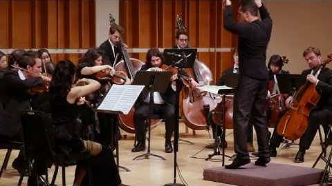 P. I. TCHAIKOVSKY - Serenade for Strings in C major, Op. 48