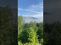 Summer Fog Rolls Over Vermont Trees