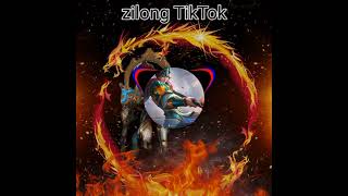 DJ Music Grammer zilong TIKTOK