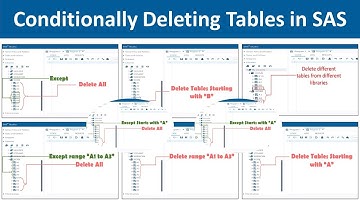 In SAS How to Delete Tables Conditionally|Delete All Except Few|Delete Different Tables| Learnerea